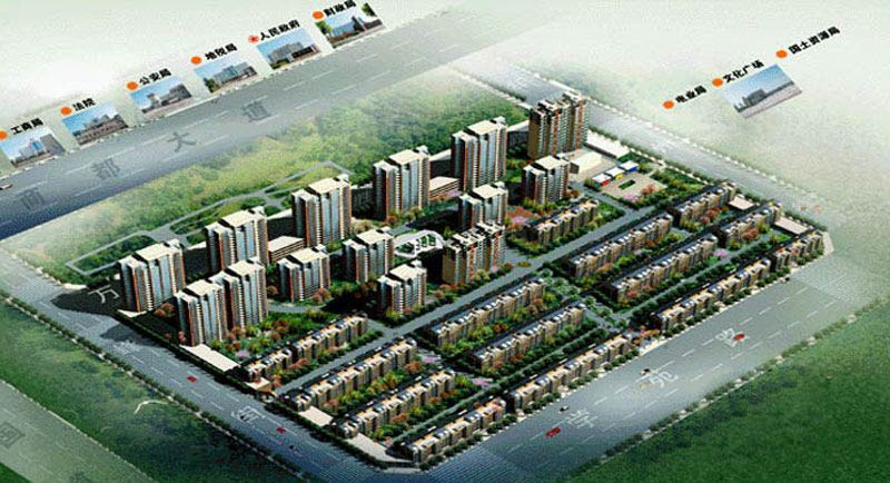 金帝新生活 金帝新生活