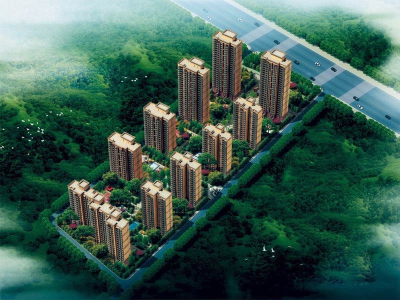 豫龙之春 豫龙之春