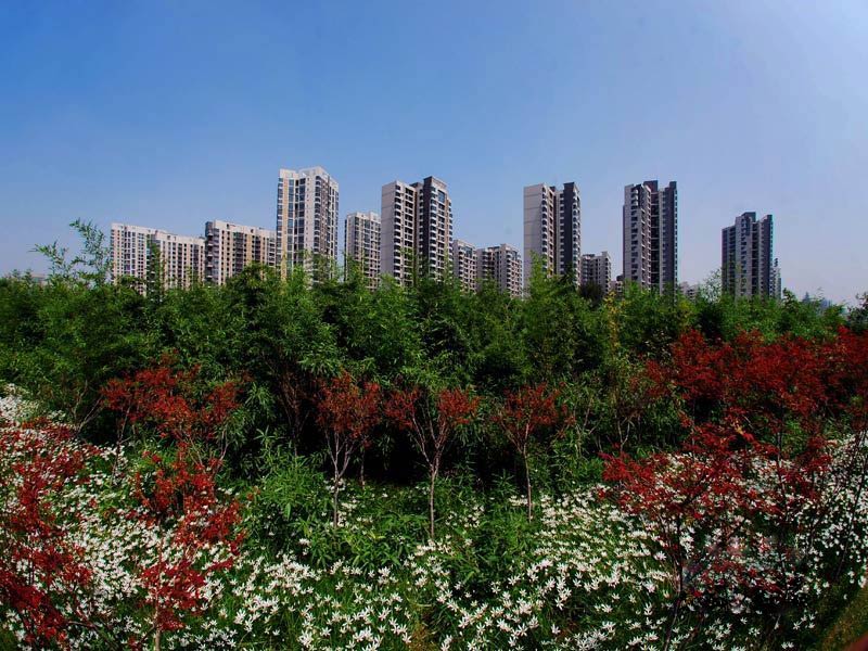 银堤漫步 银堤漫步