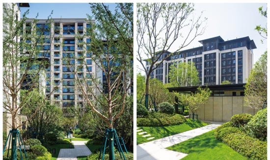 大河宸院 首期“运和启园”工地开放日