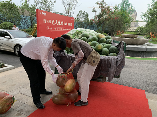 昌建&middot;君悦府爱心助瓜农，万斤西瓜免费送