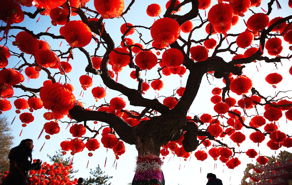 春节许愿树春意盎然